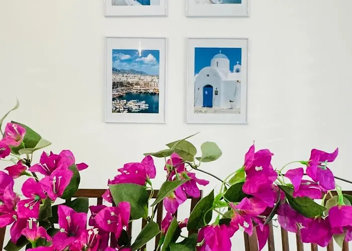 Anastasia ,150 M To Coral Bay بييا